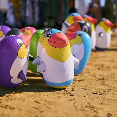 In 24550 ביביונה