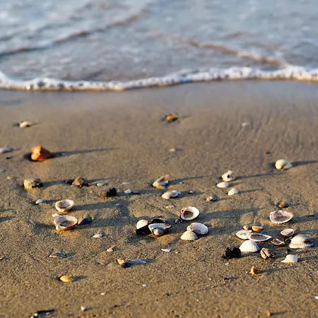 In 24550 Lejlighed Bibione